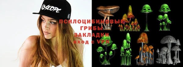 мяу мяу мука Осинники