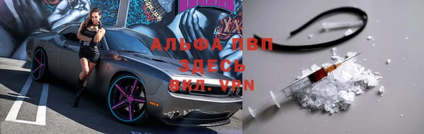 прущие грибы Верхний Тагил