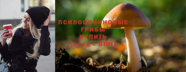 прущие грибы Верхний Тагил