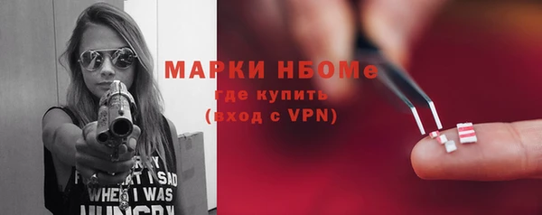 прущие грибы Верхний Тагил