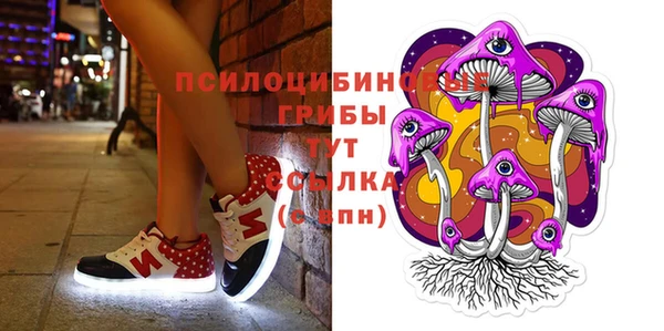 ПСИЛОЦИБИНОВЫЕ ГРИБЫ Верхнеуральск