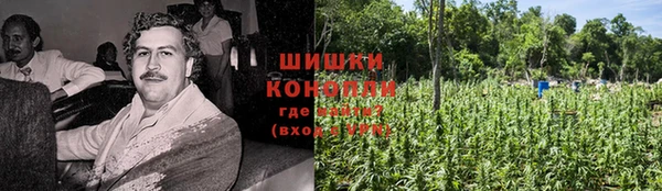 ПСИЛОЦИБИНОВЫЕ ГРИБЫ Верхнеуральск