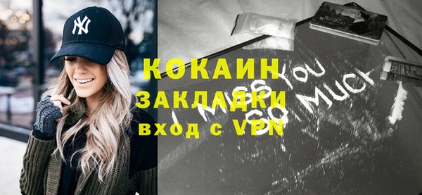 прущие грибы Верхний Тагил