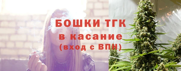 прущие грибы Верхний Тагил