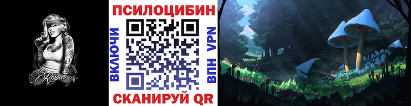 нарко площадка клад  Гатчина  Псилоцибиновые грибы Cubensis  закладка 